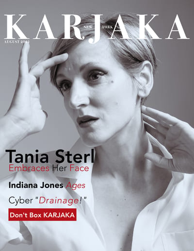 Cover: Embrace Your Face