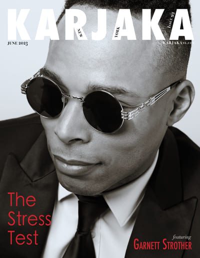 Cover: The Stress Test
