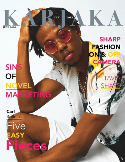 Cover: Sins of the Novel Marketer