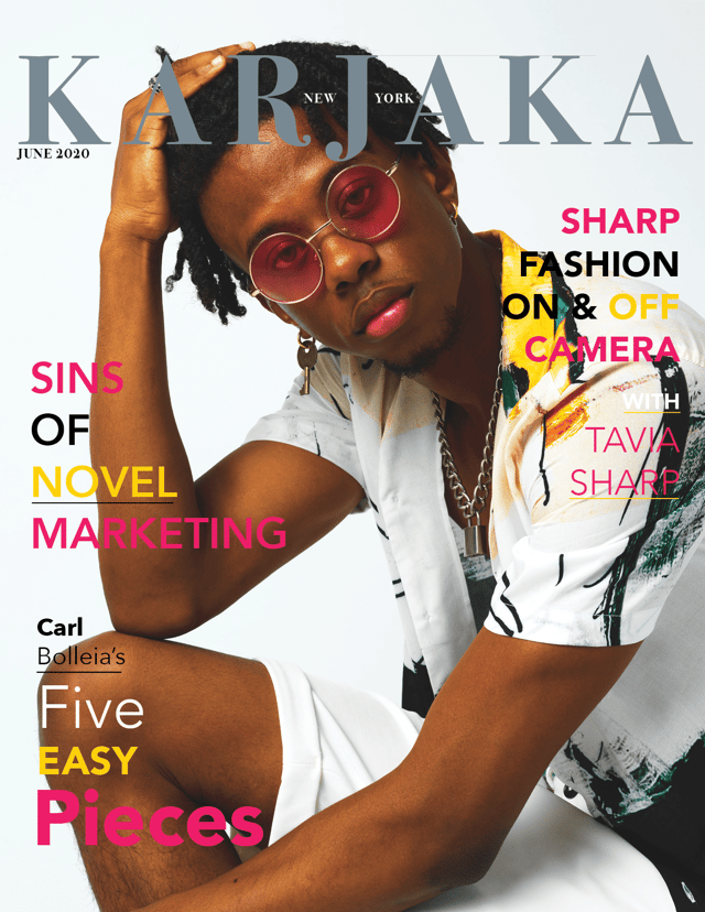 Cover: Sins of the Novel Marketer