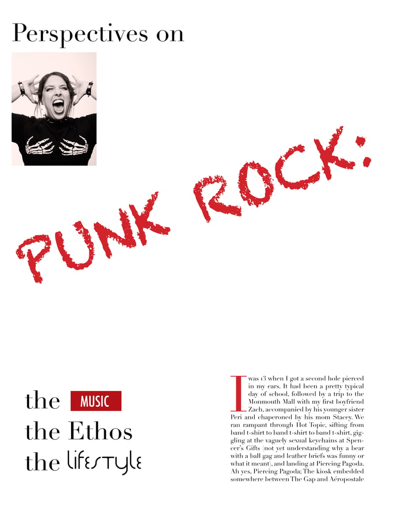 Perspectives on Punk Rock