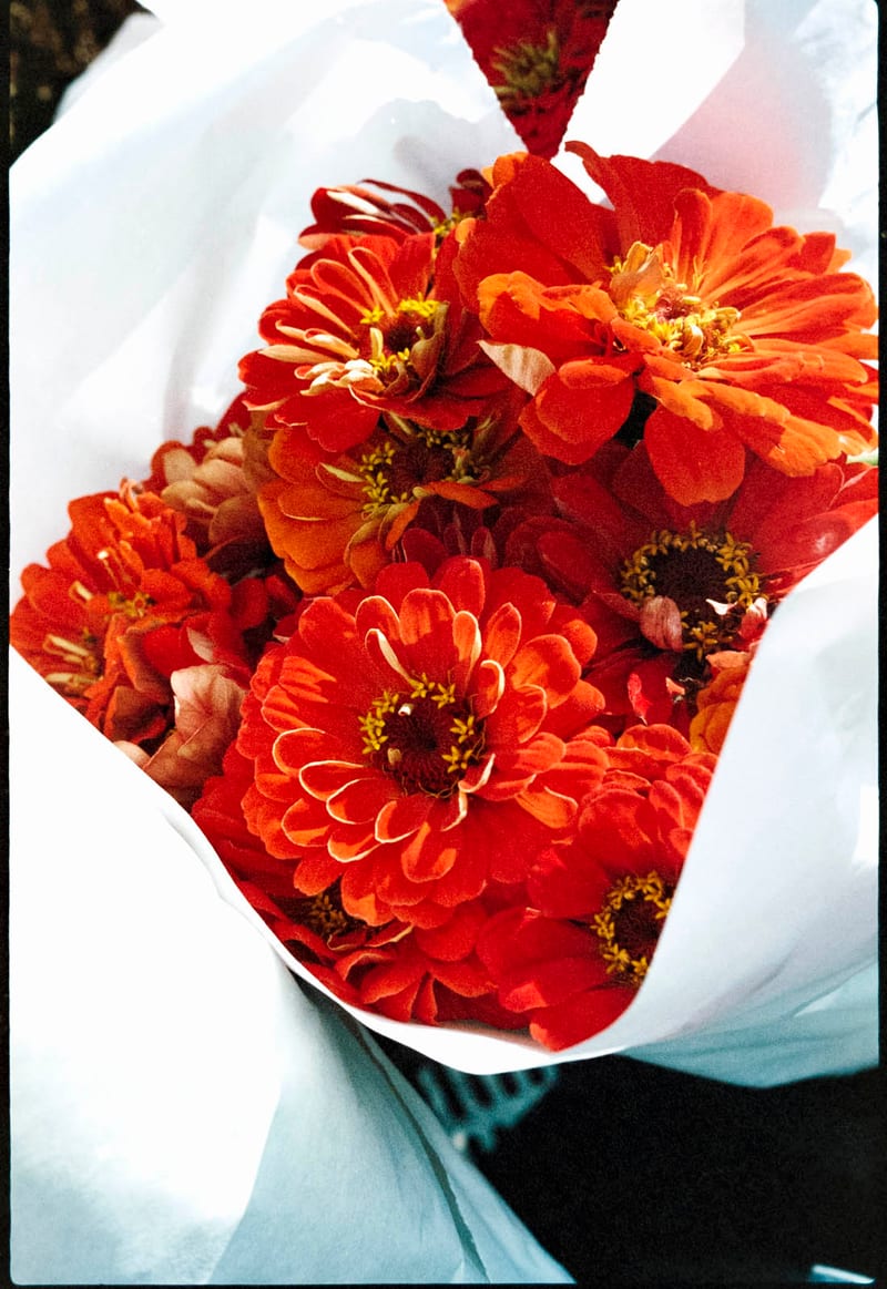 I Brought You These